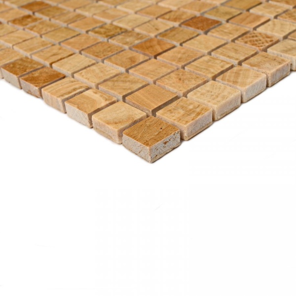 Siena-15 1